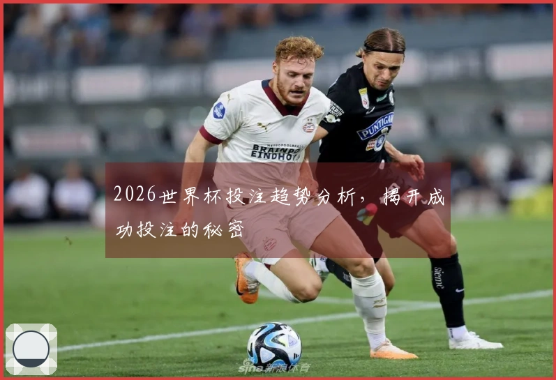 2026世界杯投注趋势分析，揭开成功投注的秘密