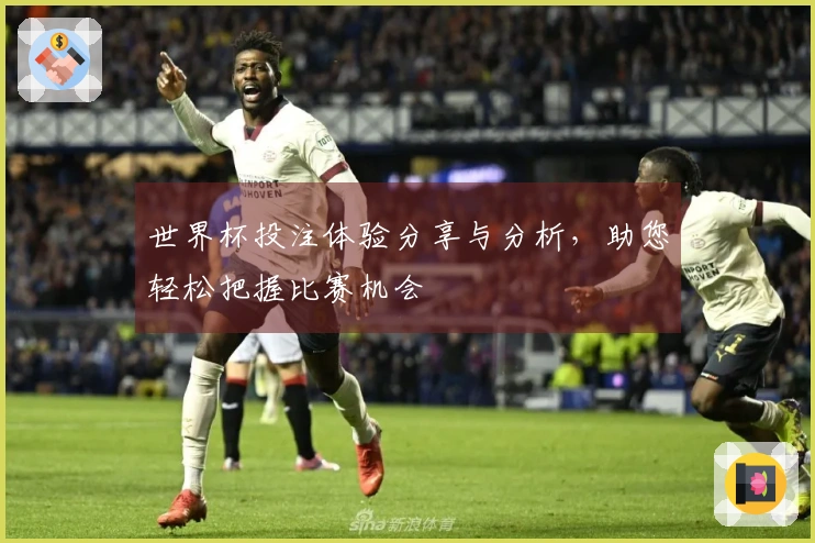 世界杯投注体验分享与分析，助您轻松把握比赛机会