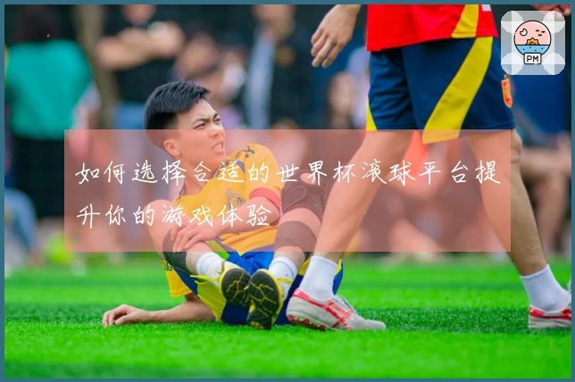 如何选择合适的世界杯滚球平台提升你的游戏体验