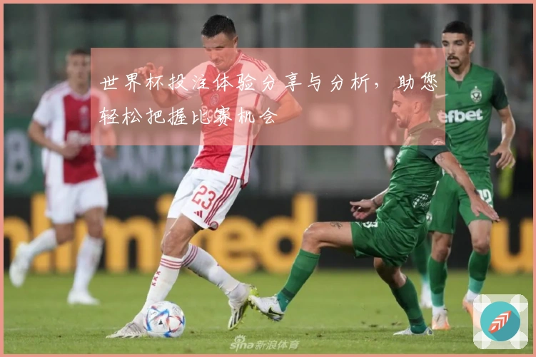 世界杯投注体验分享与分析，助您轻松把握比赛机会