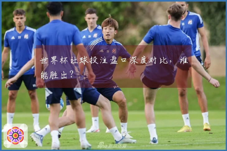 世界杯让球投注盘口深度对比，谁能胜出？